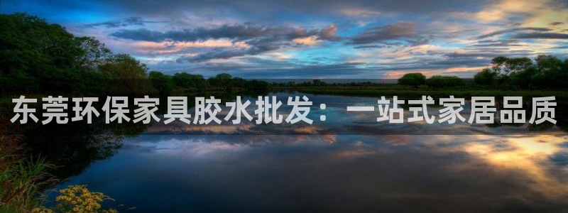 杏宇注册网址：东莞环保家具胶水批发：一站式家居品质