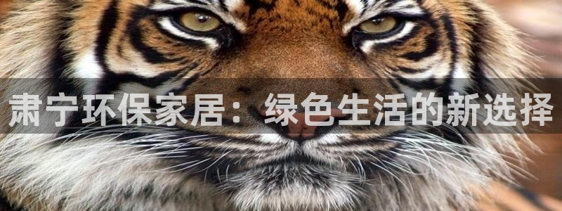 杏宇平台手机下载：肃宁环保家居：绿色生活的新选择