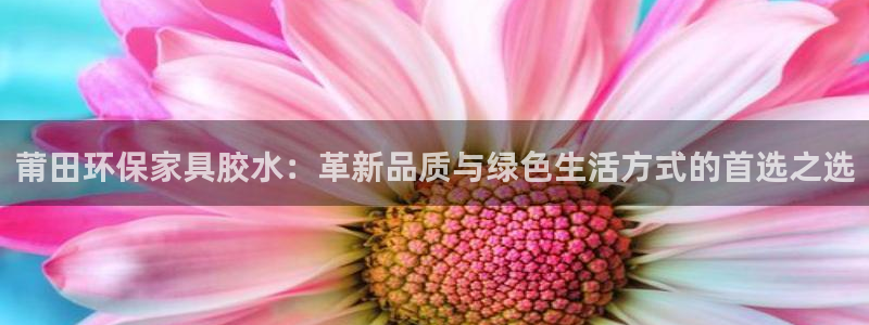 杏宇平台地址
