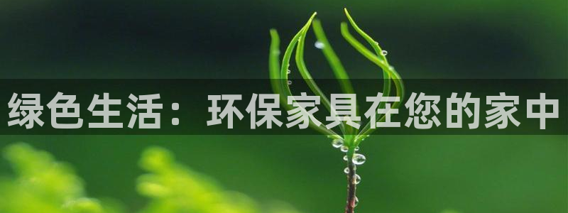 杏宇平台指定