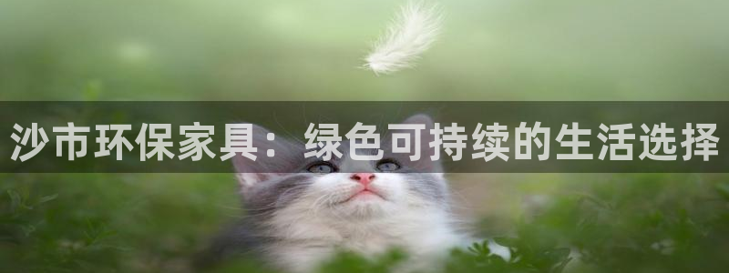 杏宇平台注册流程：沙市环保家具：绿色可持续的生活选择