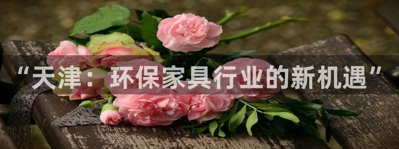 杏宇登陆线路：“天津：环保家具行业的新机遇”