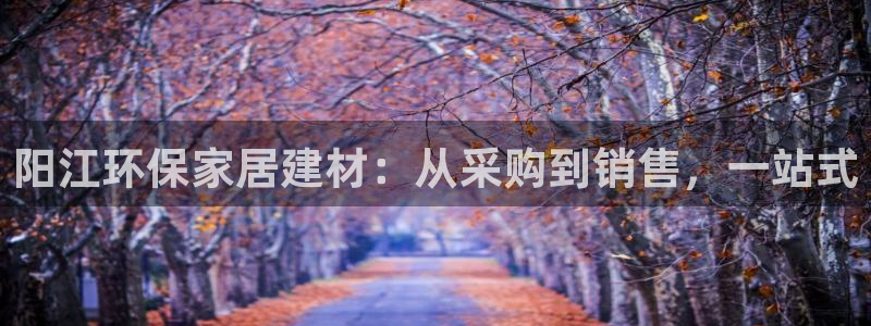 杏宇平台登录首页：阳江环保家居建材：从采购到销售，一站式