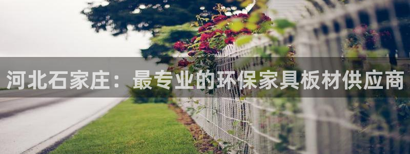 杏宇平台是真的吗：河北石家庄：最专业的环保家具板材供应商