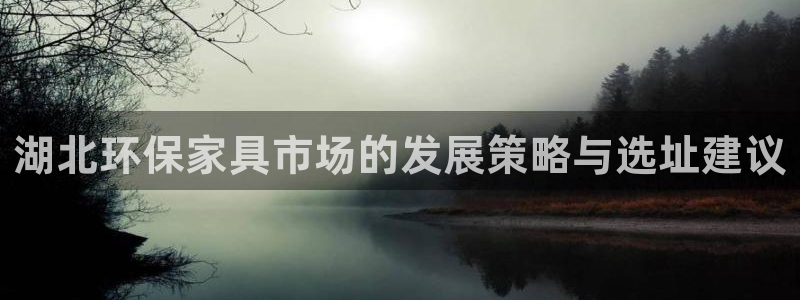 杏宇平台是真的吗：湖北环保家具市场的发展策略与选址建议