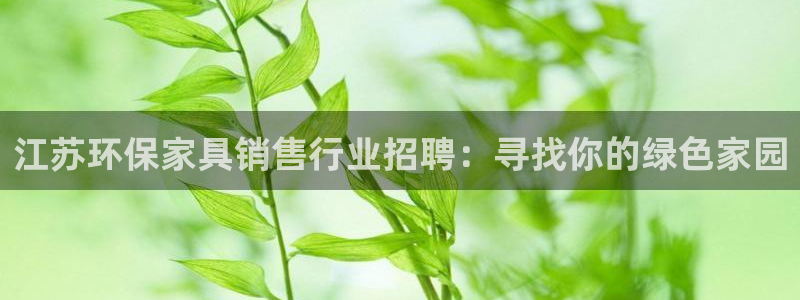 杏宇平台首页：江苏环保家具销售行业招聘：寻找你的绿色家园