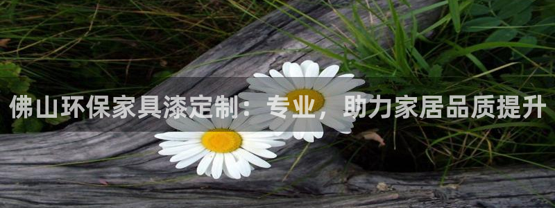 杏宇官网主管